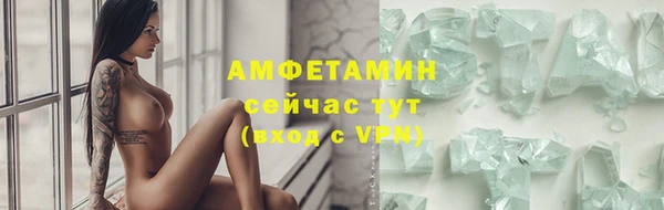 мдпв Пестово
