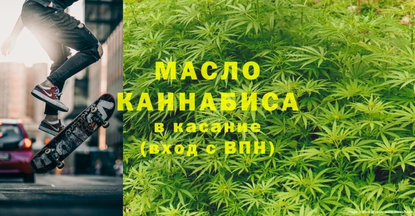 СК Алексин
