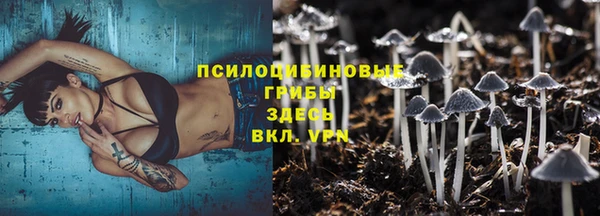 мдпв Пестово