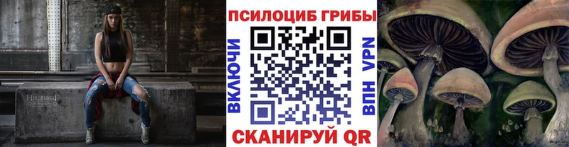 MEGA как войти  наркошоп  Суздаль  Псилоцибиновые грибы Magic Shrooms 